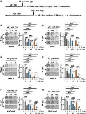 The BET Inhibitor JQ1 Potentiates the Anticlonogenic Effect of Radiation in Pancreatic Cancer Cells